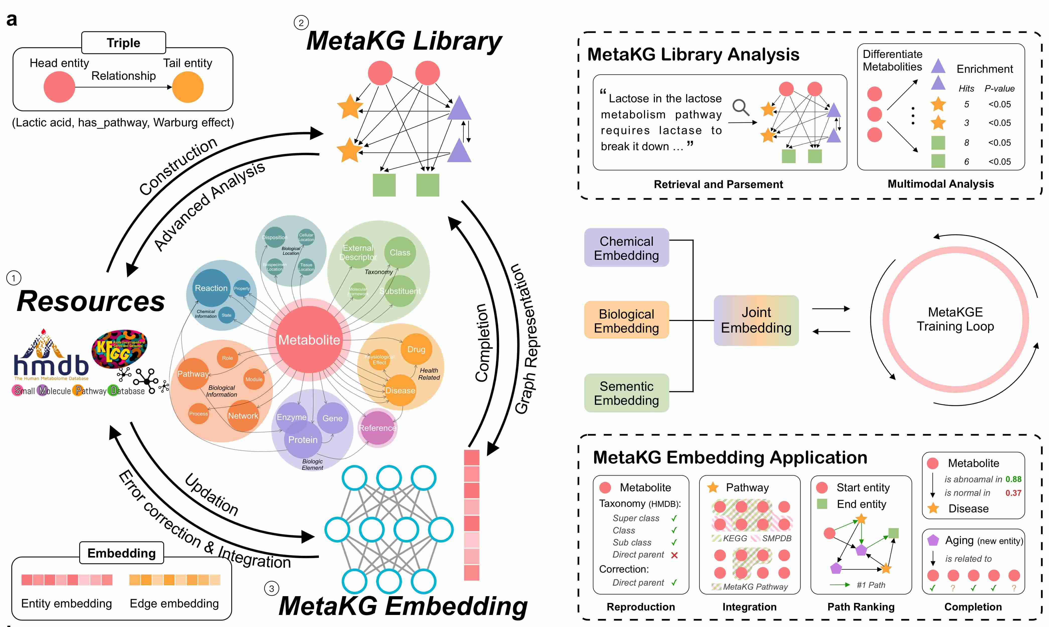 MetaKG Overview